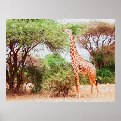 Giraffe Eating Leaves Painting Nature Photo Poster