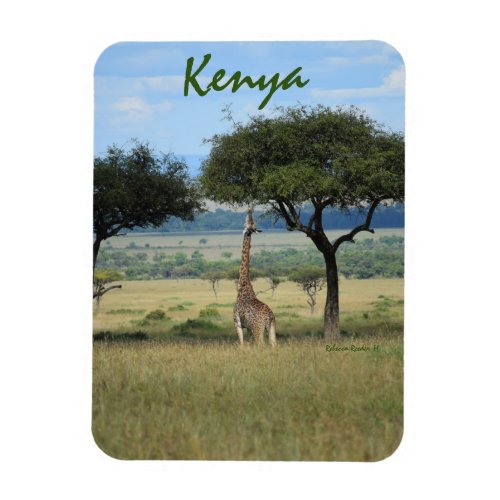 Giraffe Eating Tree in Kenya Magnet