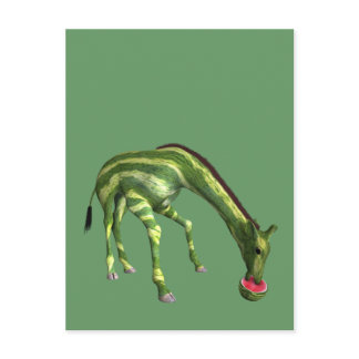 Giraffe Eating Watermelon Postcard