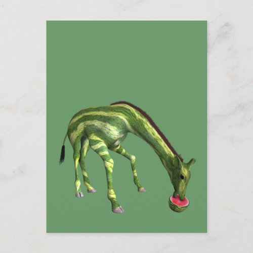 Giraffe Eating Watermelon Postcard