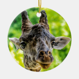 Giraffe Eyelashes Ceramic Ornament