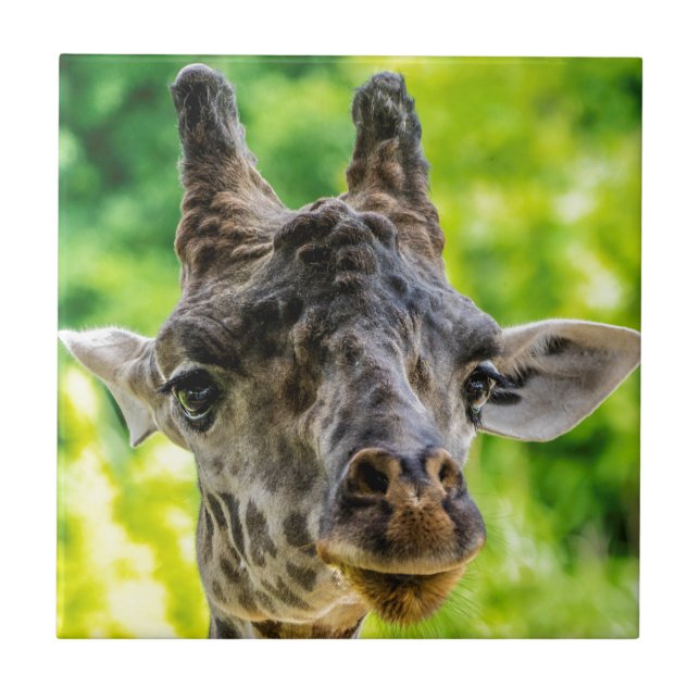 Giraffe Eyelashes Ceramic Tile (Front)