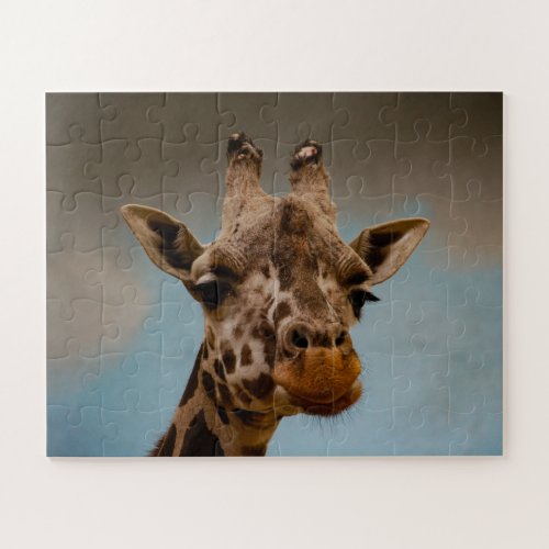 Giraffe Face Portrait Jigsaw Puzzle