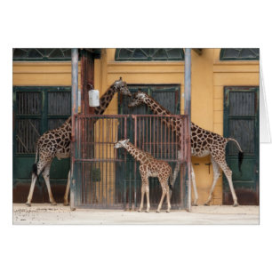 Giraffe Family Cards