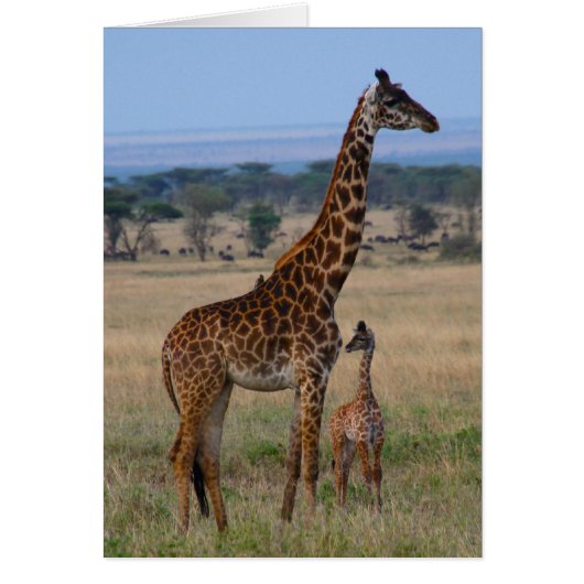 Giraffe family cards (Front)