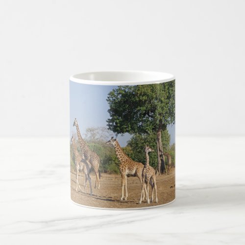 Giraffe Family coffee mug