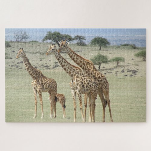giraffe family jigsaw puzzle