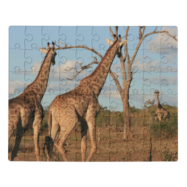 Giraffe Family Jigsaw Puzzle (Puzzle Horizontal)