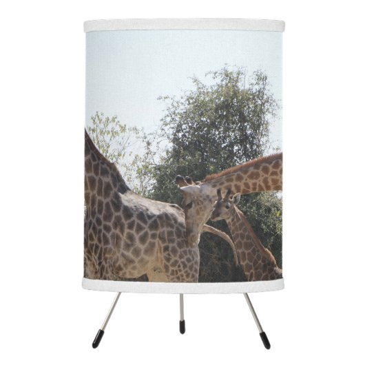 Giraffe Family Lamp (Front)