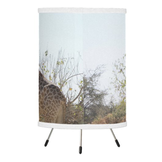 Giraffe Family Lamp (Back)