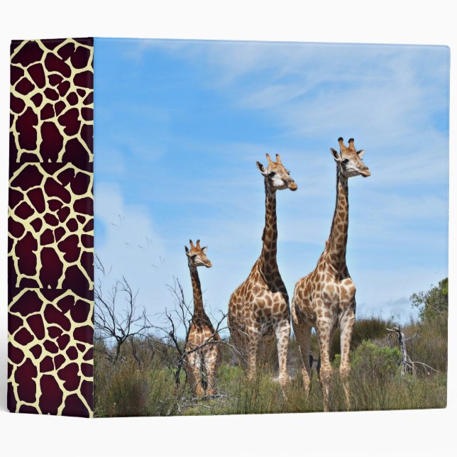 Giraffe Family On Grassy Hilltop 3 Ring Binder (Front/Spine)
