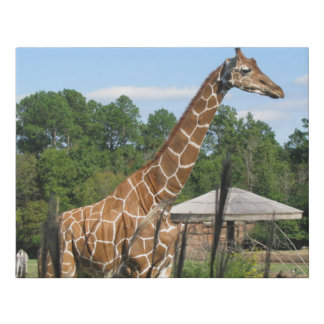 giraffe faux canvas print