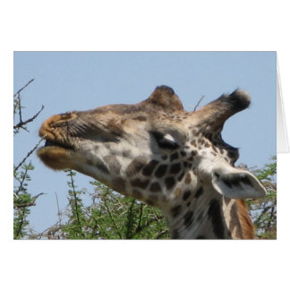 Giraffe Feeding Cards