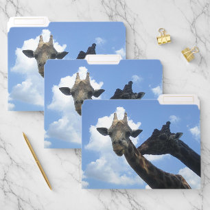 Giraffe Friends File Folder