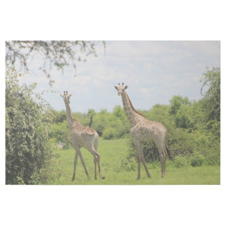 Giraffe friends gallery wrap