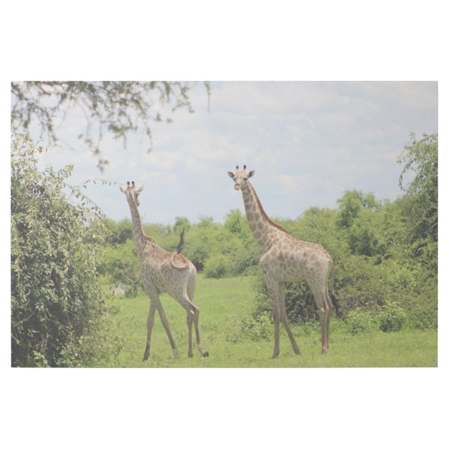 Giraffe friends gallery wrap (Front)