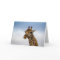 Giraffe from South Africa