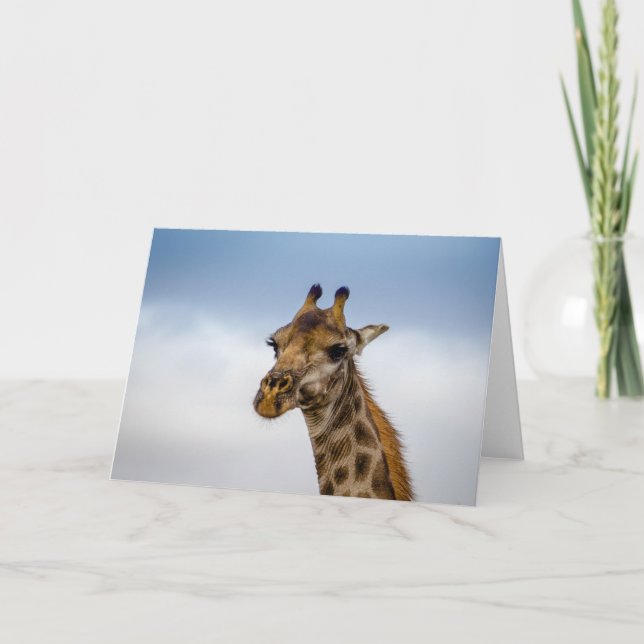 Giraffe from South Africa Card (Front)