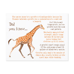 Giraffe Fun Facts Wildlife Postcard