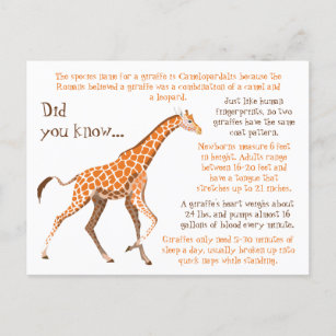 Giraffe Fun Facts Wildlife Postcard