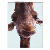 Giraffe Funny Face (Front)
