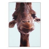 Giraffe Funny Face Cards (Front)