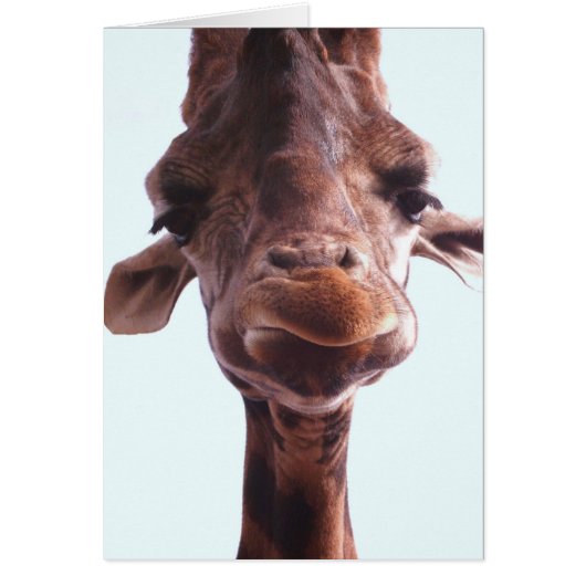 Giraffe Funny Face Cards (Front)
