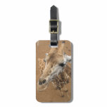 Giraffe Gaze Luggage Tag