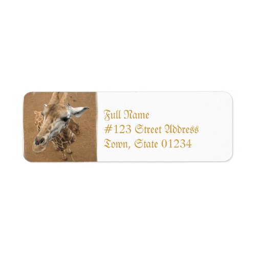 Giraffe Gaze  Mailing Labels