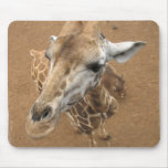 Giraffe Gaze Mouse Pad