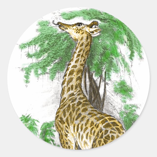 Giraffe Gifts Classic Round Sticker (Front)