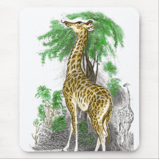 Giraffe Gifts Mouse Pad
