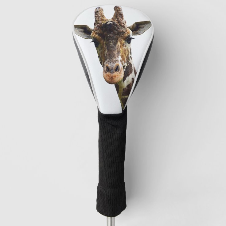 Giraffe Golf Club Cover Zazzle