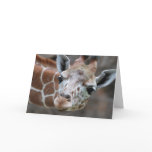 Giraffe Greeting Card