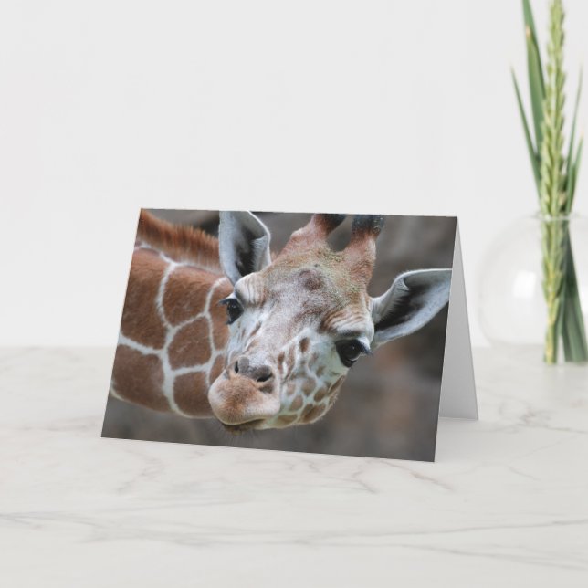 Giraffe Greeting Card (Front)