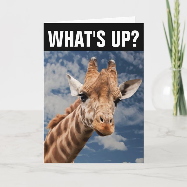 GIRAFFE GREETING CARD, WHAT'S UP? CARD (Front)
