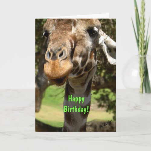 Giraffe Happy Birthday Card