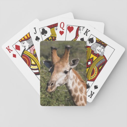 Giraffe Head Detail Playing Cards
