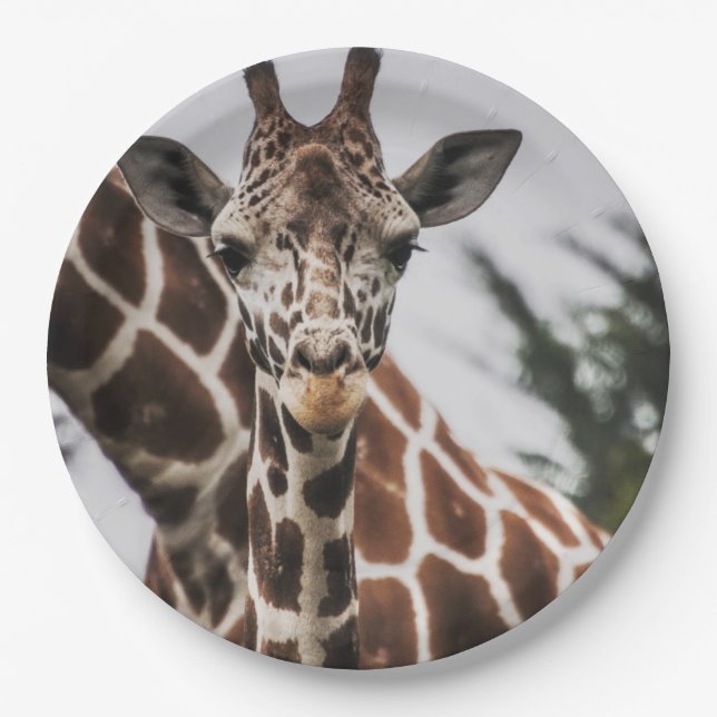 Giraffe head Giraffe fur print African Animal Paper Plates (Front)