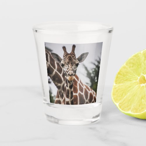 Giraffe head Giraffe fur print African Animal Shot Glass