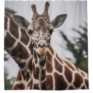 Giraffe head Giraffe fur print African Animal Shower Curtain