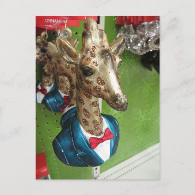 Giraffe Head Postcard (Front)