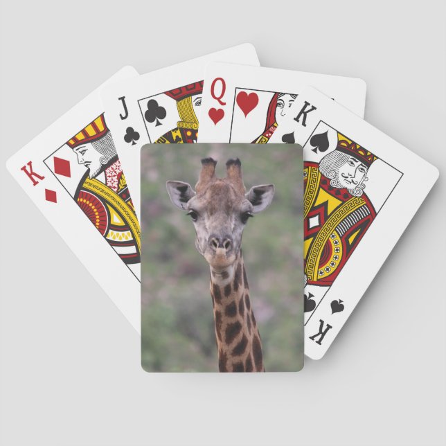 Giraffe Headshot Poker Cards (Back)