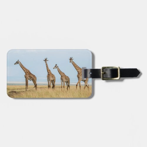 Giraffe Herd in Grassland Luggage Tag