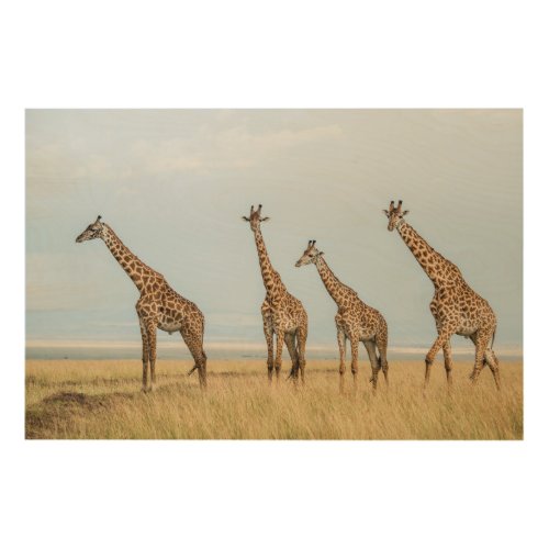 Giraffe Herd in Grassland Wood Wall Decor