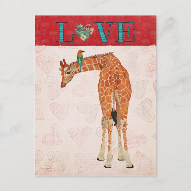 GIRAFFE & HUMMINGBIRD LOVE  Postcard (Front)