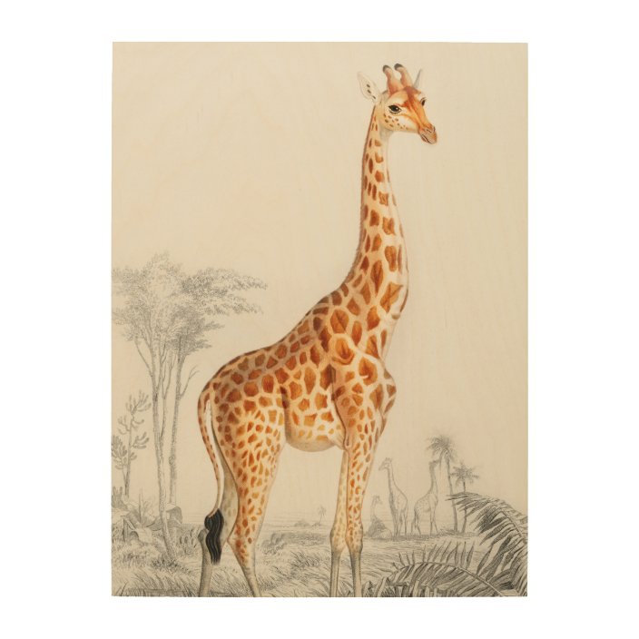Selection of  sizes available Vintage Giraffe illustration on Canvas Tote