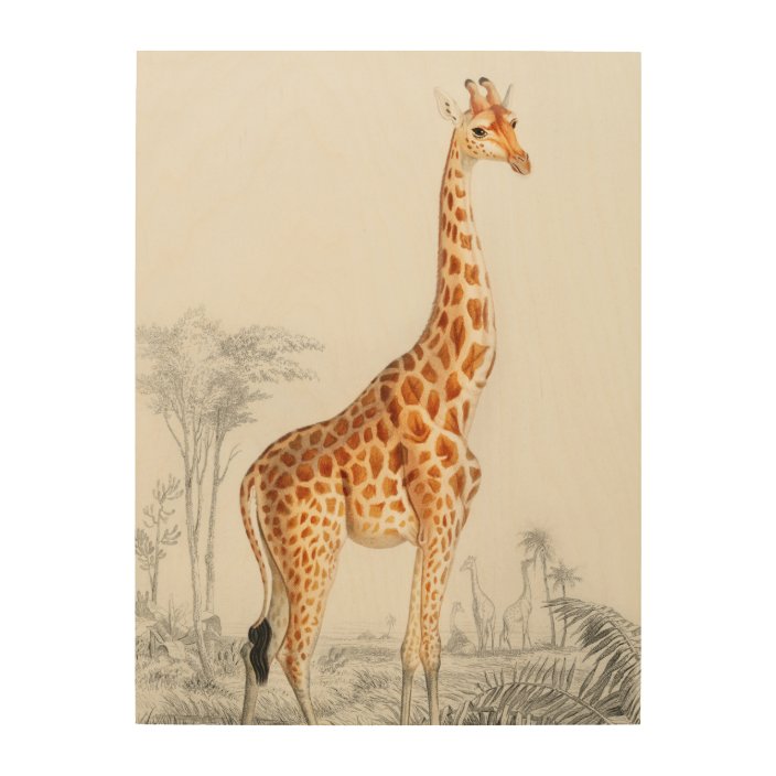 Selection of sizes available Vintage Giraffe illustration on Canvas Tote
