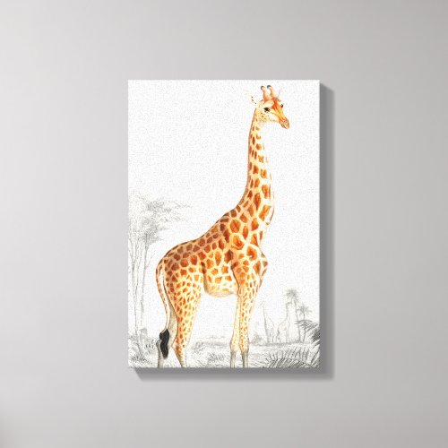 Giraffe Illustration Vintage Art Print