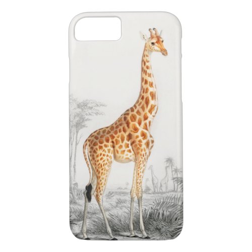 Giraffe Illustration Vintage Art Print iPhone 87 Case